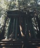 Percy Jackson and the Olympians Photos du tournage de la s�rie 